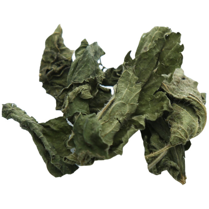 Brennnessel - nettle herb