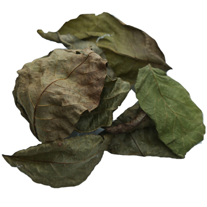 Walnusslaub - Walnut leaves