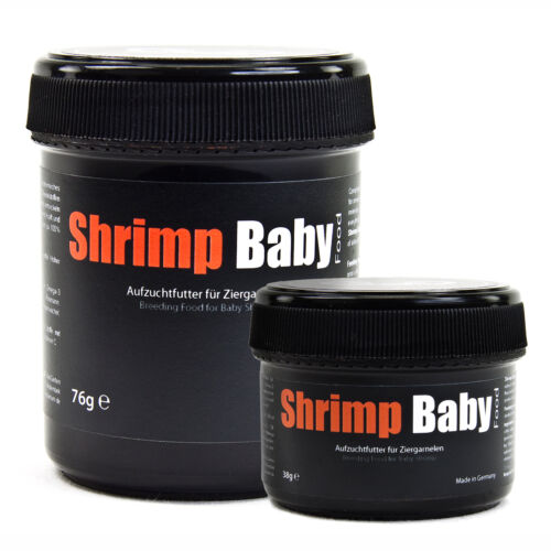 Shrimp Baby