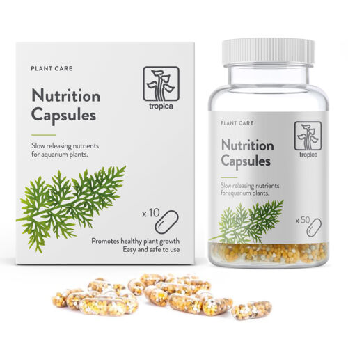 Düngekapseln - Nutrition Capsules