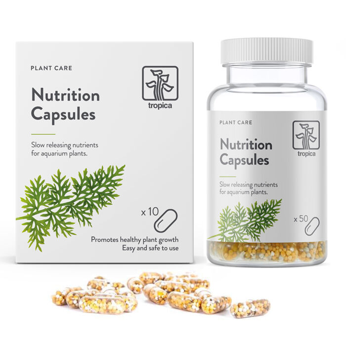 Düngekapseln - Nutrition Capsules